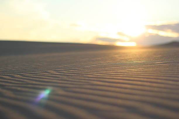 End of a long day on the soft cool dunes