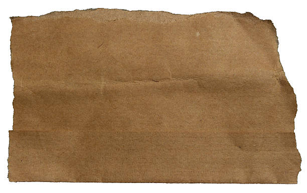 Ripped torn brown paper edge on white background, paper tear stripes