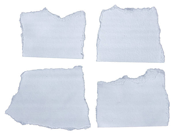 istock Ripped torn white paper edge on white background, paper tear stripes 2219831600