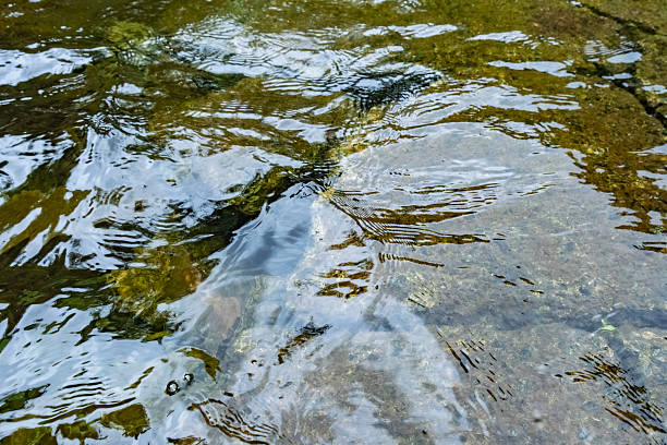 istock Close-up of clear stream water over riverbed stones. 2219832136