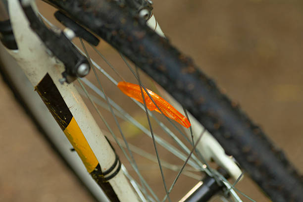 A detailed view of bicycle spokes is depicted, clearly showcasing the intricate wheel structure and the distinct texture of the tire, all set beautifully in a natural outdoor environment