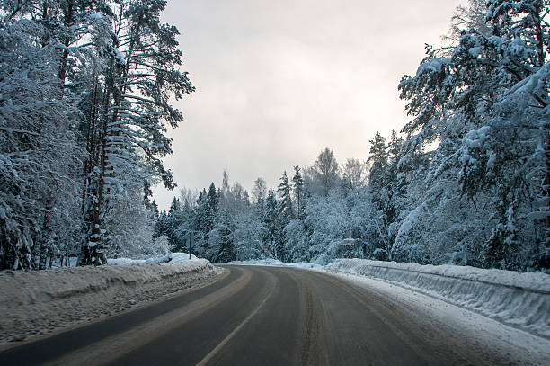 istock The road in the winter forest 2219838504