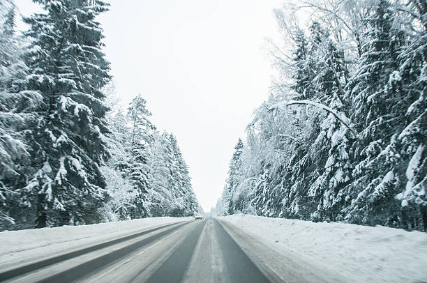 istock The road in the winter forest 2219838521