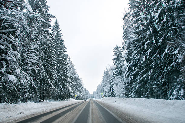 istock The road in the winter forest 2219838561