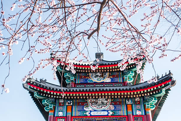 istock Summer Palace,Longevity Hill,Beijing,China,Asia. 2219844120
