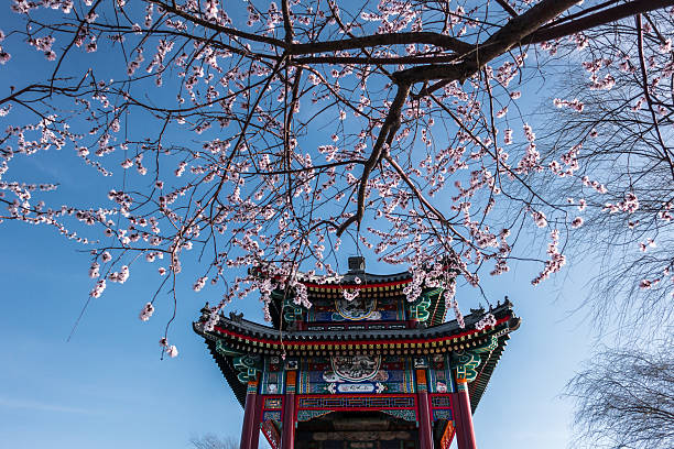 istock Summer Palace,Longevity Hill,Beijing,China,Asia. 2219844123