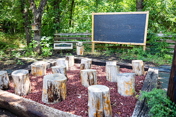 istock Empty Outdoor Classroom Setting with chalkboard and tree stump seats in nature 2219844936
