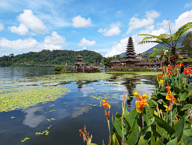 istock Holiday rentals in Bedugul Bali 2219844959