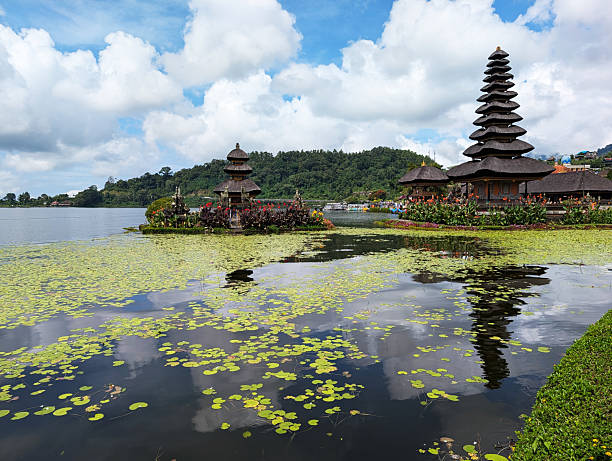istock Holiday rentals in Bedugul Bali 2219844972
