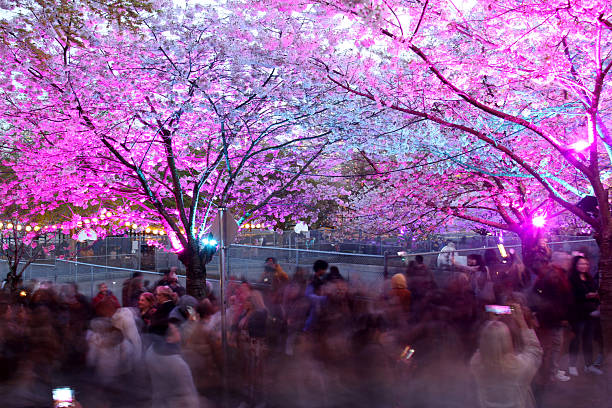 Vancouver’s cherry blossom festival comes alive at night in a dreamy fusion of soft pink petals and glowing city lights. Captured with long exposure photography, the scene features motion-blurred crowds, illuminated blossoms, and vibrant reflections that give the event an ethereal, almost magical atmosphere. Delicate sakura trees line urban pathways and parks, their blooms glowing under decorative lanterns and ambient streetlights. The contrast of fleeting natural beauty and the modern cityscape highlights Vancouver’s unique blend of culture, nature, and celebration. A sense of energy and tranquility coexists in this striking visual experience.