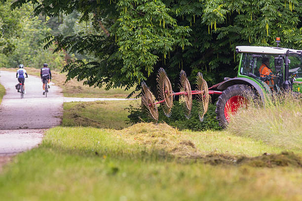 Tractor with wheel rakes is working on collecting mown herb-rich grass. In the verge next to the cycle path, a tractor with wheel rakes collects the mown herb-rich grass. June 11, 2025, Almere-Buiten, Flevoland, The Netherlands