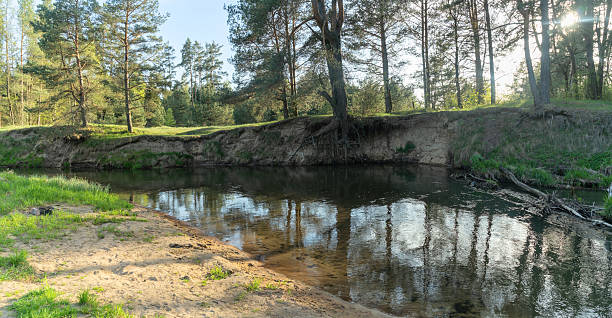 istock A serene forest river flows gently through a lush landscape, illuminated by the warm glow of a spring evening sun. This tranquil scene invites nature lovers to unwind and embrace the beauty of the outdoors. 2219847000