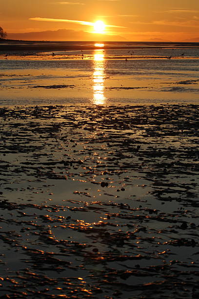 istock Spanish Banks Winter Sunset Glow 2219849587