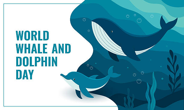 istock World Whale and Dolphin Day. Template for background, banner, greeting card, poster with text inscription, highlighting marine life and ocean conservation. Vector illustration. 2219850580