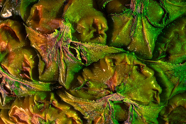 Extreme close-up of pineapple skin and leaf in the green light