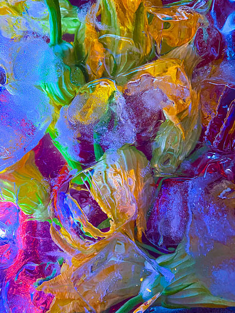 istock Beautiful multi coloured frozen flowers 2219852297