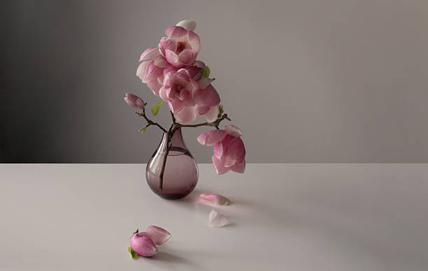 istock magnolia wreath in glass vase on wall background 2219854534