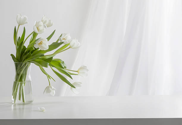 bouquet of white tulips on the window in the room