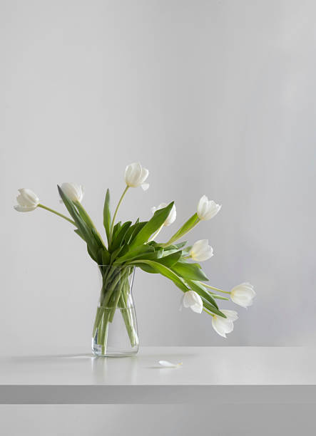 istock white tulips in glass vase in white interior 2219854549