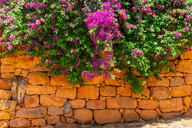 A scenic view of Turkish architecture embraced by lush greenery and vibrant flowering plants close to Antalya. A warm, sunny day features a blue sky, radiating tranquility and beauty in every detail.