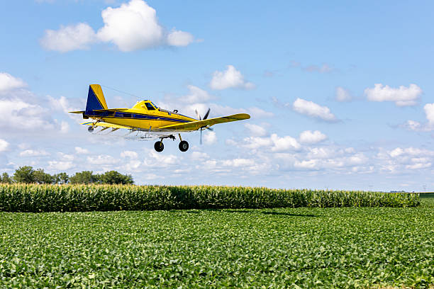 istock Crop duster airplane spraying chemicals on cornfield. 2219857544