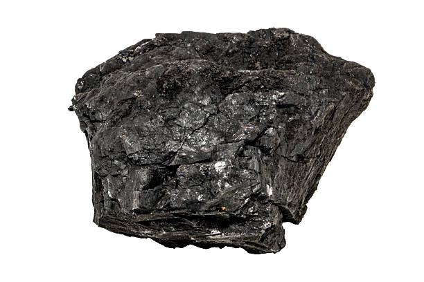 istock Close-up of coal ore, isolated on white background 2219858188
