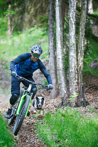 istock Mountain Bike Dog Ride 2219862803