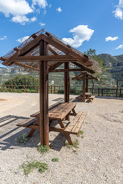 istock Empty gray wooden table on the green plants background with a pergola. Vertical 2219862907