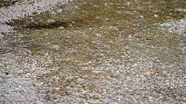 Raindrops fall steadily, creating ripples on a muddy path. Fresh greenery and shrubs outline the scene as storm clouds gather above, hinting at more rain - nature and landscape, weather