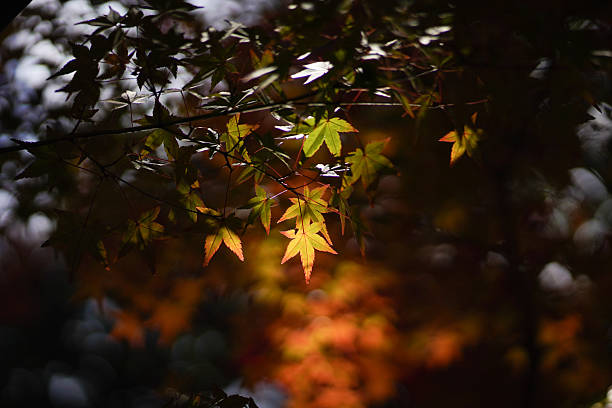 Travel concept. Travel wallpaper. Tour concept. Travel Destination. Autumn holiday trip.