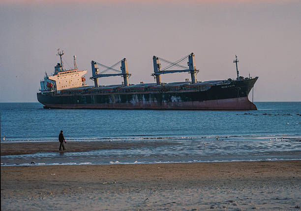 Rusty abandoned ship stranded in calm turquoise sea under dramatic cloudy sky, evoking a sense of decay and maritime mystery. Ideal for themes of adventure, history, or environmental impact