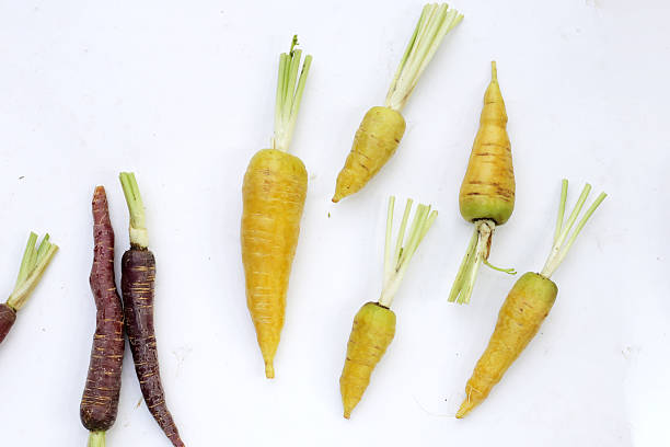 istock Fresh carrot vegetables, Ripe carrots 2219871134
