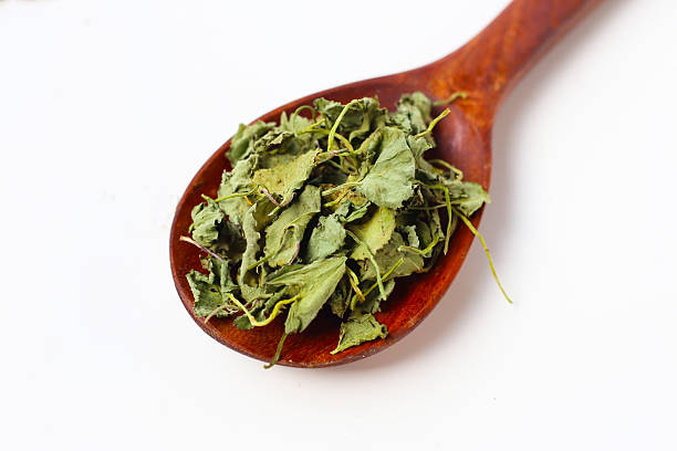 istock Dried gotu kola herb leaves 2219871368