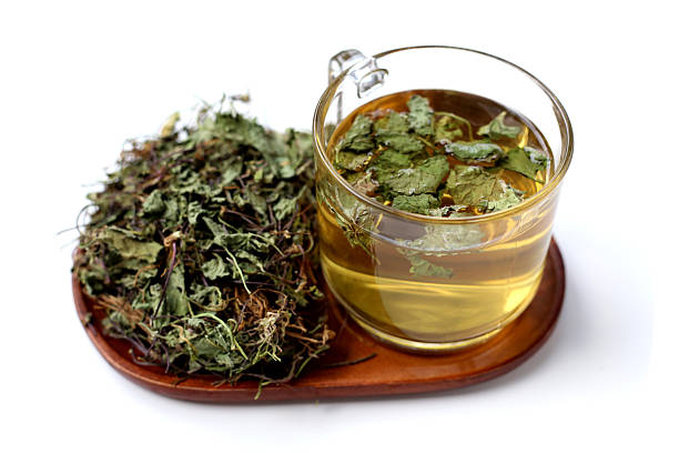 istock Fresh gotu kola leaves on a white background. 2219871369