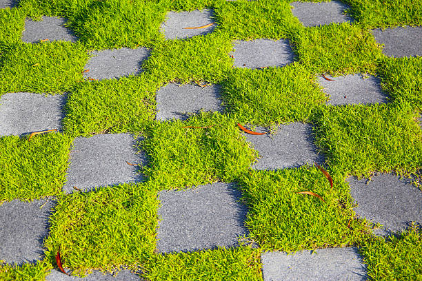 Patterned grass and concrete walkway forming a checkerboard design in outdoor sunlight.