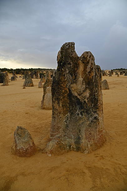 The Pinnacles Desert in Nambung National Park, Western Australia.