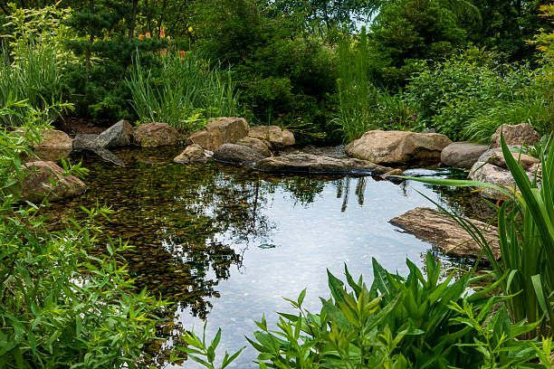 A serene scene of a white hydrangea flower gently floating on the surface of a clear stream. The green leaves surrounding the flower reflect in the water, creating a soothing and peaceful atmosphere. Raindrops ripple across the water's surface, adding a sense of tranquility and connection with nature.