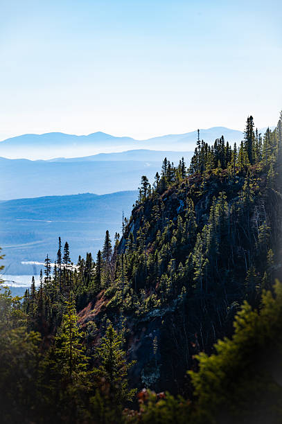 istock Boreal forest by the mountains, Charlevoix, Quebec, Canada 2219879300
