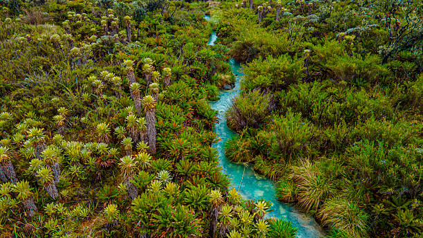 istock San Juan Hot Springs Landscape 2219879692