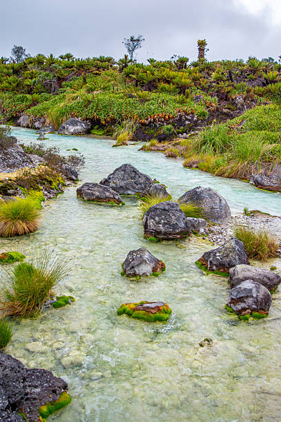 istock Natural Hot Springs Landscape 2219879810
