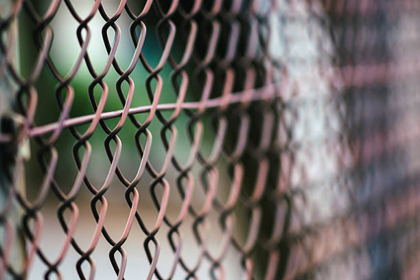 istock Blurred wire mesh with depth of field. 2219880283