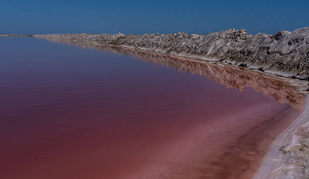 istock Reflections in the Pink Salt Lagoon 2219881123