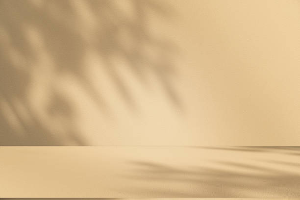 istock Studio style background wall decoration presentation uses white and beige tones. with shadows cast from a nearby window, concept creating a decorative 2219882948