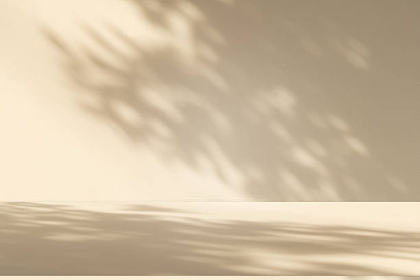 istock Studio style background wall decoration presentation uses white and beige tones. with shadows cast from a nearby window, concept creating a decorative 2219882962