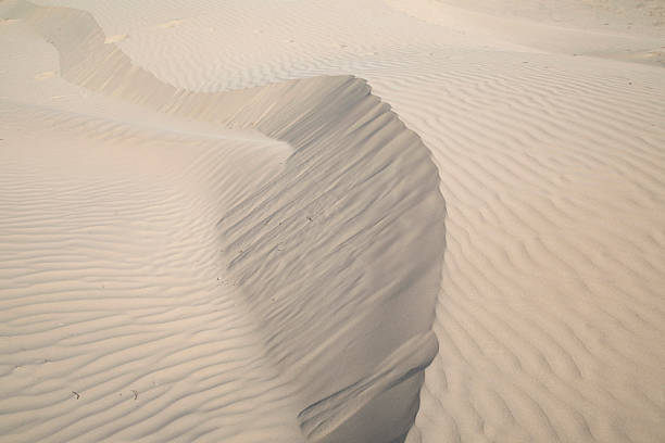 istock Australian desert sand with abstract textures and wind effects 2219883534