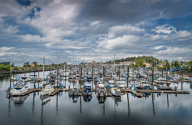 Beautiful view of marina in small Alaskan town on spring day; town budlings and sky in background
