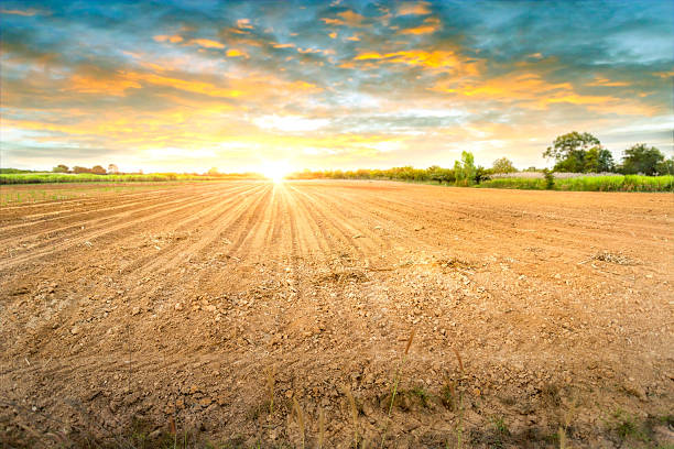 istock Empty dry cracked swamp reclamation soil, land plot for housing construction project with car tire print in rural area and beautiful blue sky with fresh air Land for sales landscape concept. 2219898300