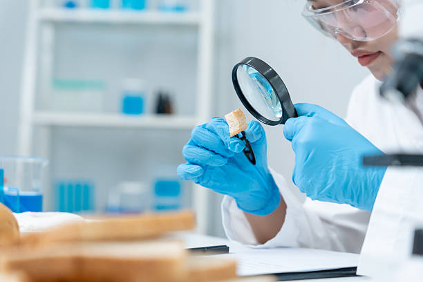 istock Scientist use magnifying glass to check physical occur from chemical on fruit and vegetable residues in laboratory. inspect the concentration of chemical residues, standard, find prohibited substances 2219904705