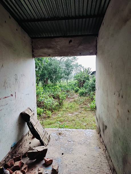 istock Rustic corridor with open doorway to lush garden 2219909167