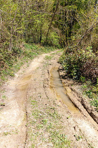 istock A dirt road with a small stream running through it 2219911323